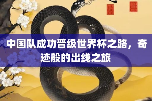 中国队成功晋级世界杯之路，奇迹般的出线之旅