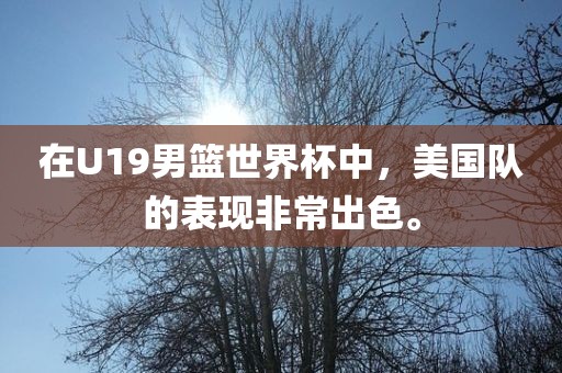 在U19男篮世界杯中，美国队的表现非常出色。