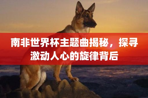 南非世界杯主题曲揭秘，探寻激动人心的旋律背后