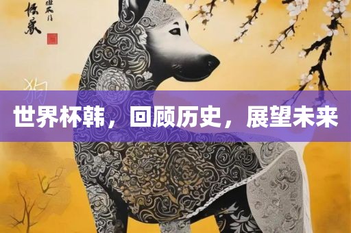 世界杯韩，回顾历史，展望未来