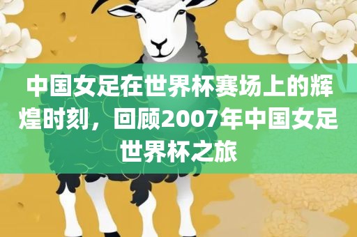 中国女足在世界杯赛场上的辉煌时刻，回顾2007年中国女足世界杯之旅