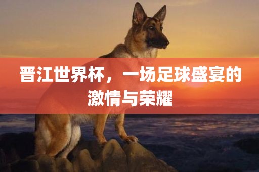 晋江洪湖市顺升工程机械租赁有限公司世界杯，一场足球盛宴的激情与荣耀