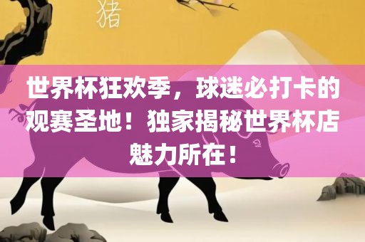 世界杯狂欢季，球迷必打卡的观赛圣地！独家揭秘世界杯店魅力所在！