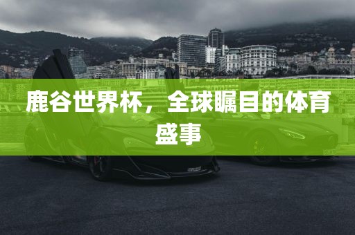 鹿谷世界杯，全球瞩目的体育盛事