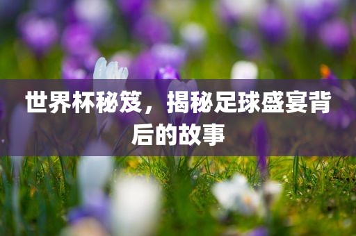 世界杯秘笈，揭秘足球盛宴洪湖市顺升工程机械租赁有限公司背后的故事