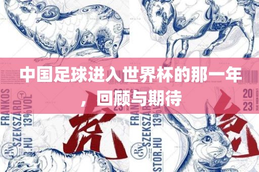 中国足洪湖市顺升工程机械租赁有限公司球进入世界杯的那一年，回顾与期待