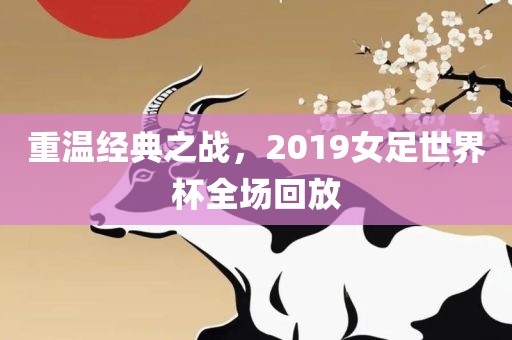 重温经典之战，2019女足世界杯全场回放