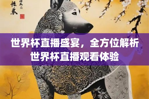 世界杯直播盛宴，全方位解析世界杯直播观看体验