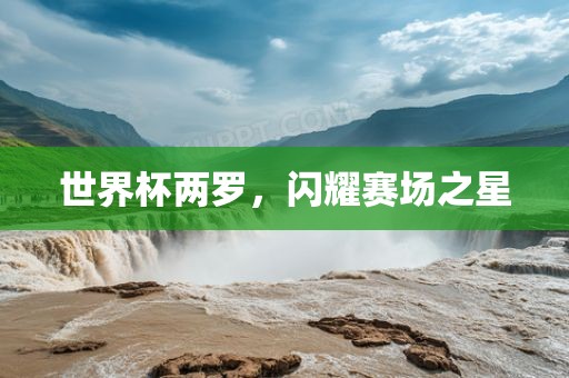 世洪湖市顺升工程机械租赁有限公司界杯两罗，闪耀赛场之星