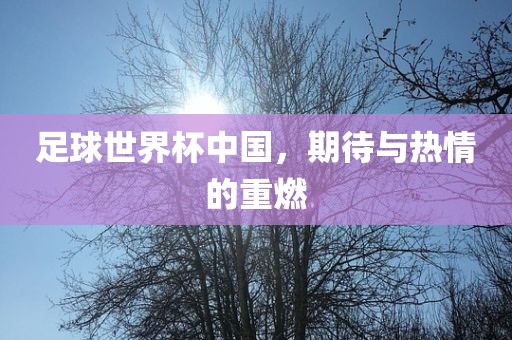 足球世界杯中国，期待与热情的重燃