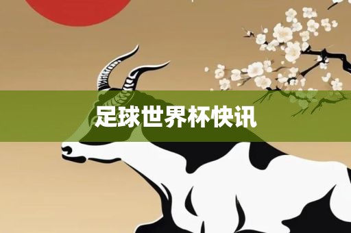 足球世界杯快讯洪湖市顺升工程机械租赁有限公司