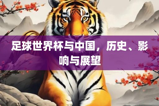 足球世界杯与中国，历史、影响与展望