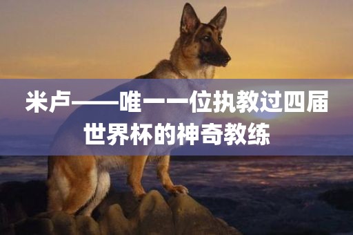 米卢——唯一一位执教过四届世界杯的神奇教练洪湖市顺升工程机械租赁有限公司