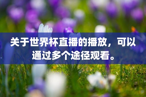 关于世界杯直播的播放，可以通过多个途径观看。