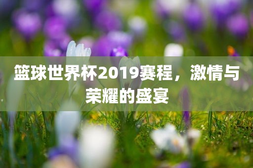 篮球世界杯2019赛程，激情与荣耀的盛宴