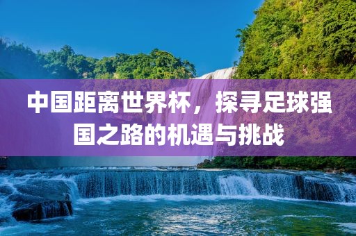 中国距离世界杯，探寻足球强国之路的机遇与挑战洪湖市顺升工程机械租赁有限公司