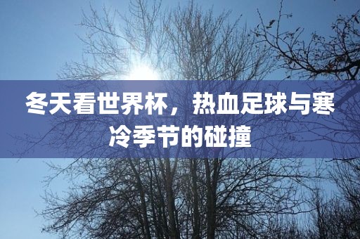 冬天看世界杯，热血足球与寒冷季节的碰撞洪湖市顺升工程机械租赁有限公司