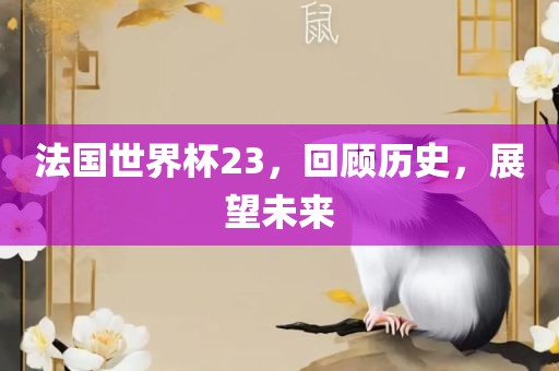 法国世界杯23，回顾历史，展望未来
