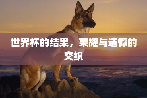 世界杯的结果，荣耀与遗憾的交织