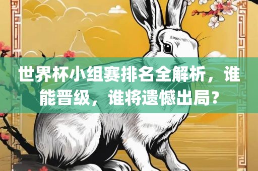 世界杯小组赛排名全解析，谁能晋级，谁将遗憾出局？