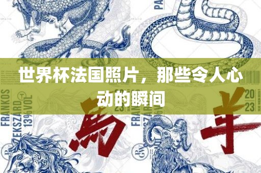 世界杯法国照片，那些令人心动的瞬间