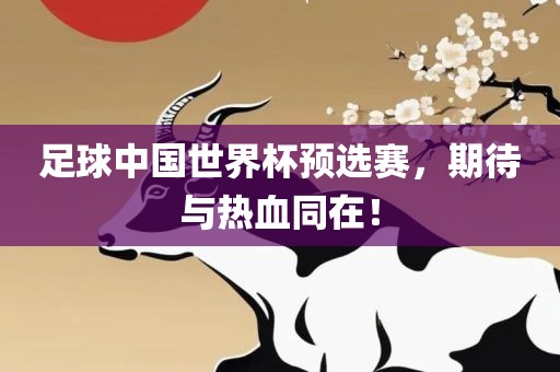 足球中国世界杯预选赛，期待与热血同在！