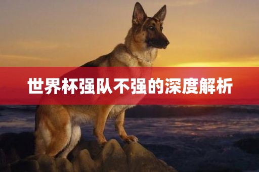 世界杯强队不强的深洪湖市顺升工程机械租赁有限公司度解析