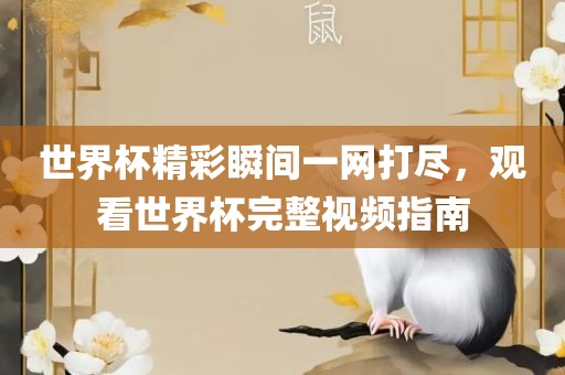 世界杯精彩瞬洪湖市顺升工程机械租赁有限公司间一网打尽，观看世界杯完整视频指南