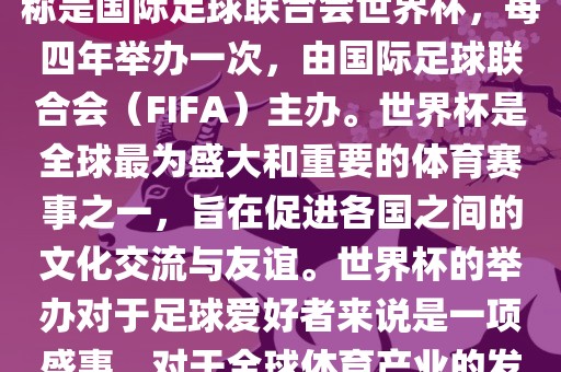世界杯是一项国际足球赛事，全称是国际足球联合会世界杯，每四年举办一次，由国际足球联合会（FIFA）主办。世界杯是全球最为盛大和重要的体育赛事之一，旨在促进各国之间的文化交流与友谊。世界杯的举办对于足球爱好者来说是一项盛事，对于全球体育产业的发展也具有重要影响。