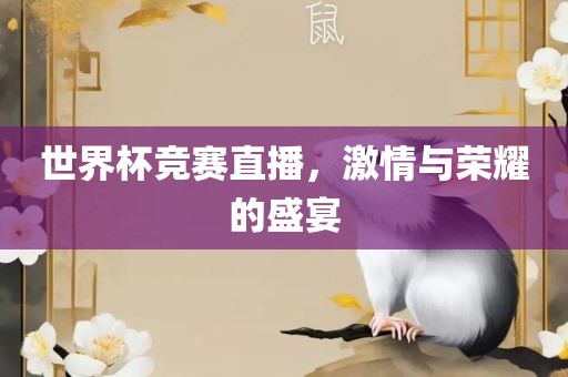 世界杯竞赛直播，激情与荣耀的盛宴