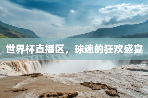 世界杯直播区，球迷的狂欢盛宴