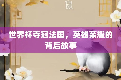 世界杯夺洪湖市顺升工程机械租赁有限公司冠法国，英雄荣耀的背后故事