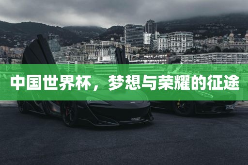 中国世界杯，梦想与荣耀的征途