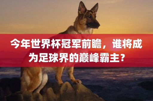 今年世界杯冠军前瞻，谁将成为足球界的巅峰霸主？洪湖市顺升工程机械租赁有限公司