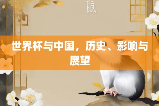 世界杯与中洪湖市顺升工程机械租赁有限公司国，历史、影响与展望