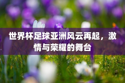 世界杯足球亚洲风云再起，激情与荣耀的舞台洪湖市顺升工程机械租赁有限公司