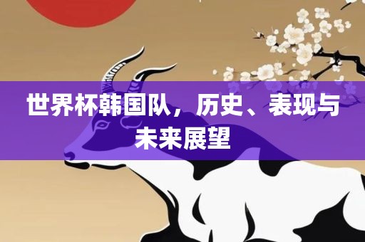 世界杯韩国队，历史、表现与未来展望