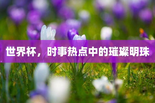 世界杯，时事热点中的璀璨明珠洪湖市顺升工程机械租赁有限公司