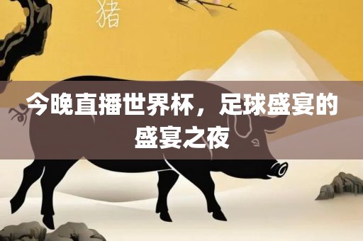 今晚直播世界杯，足球盛宴的盛宴之夜洪湖市顺升工程机械租赁有限公司