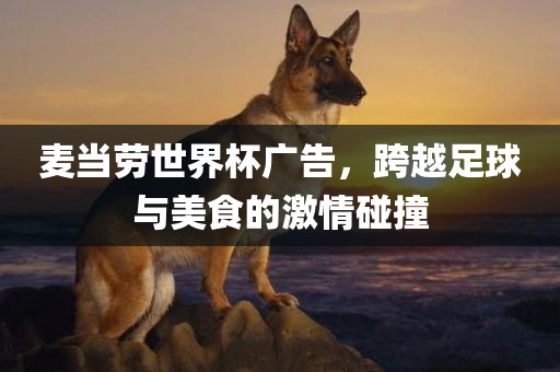 麦当劳世界杯广告，跨越足球与美食的激情碰撞洪湖市顺升工程机械租赁有限公司