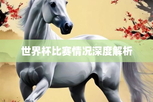 世界杯比赛情况深度解析