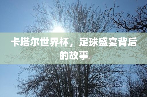 卡塔尔世界杯，足球盛宴背后的故事