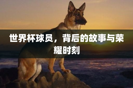 世界杯球员，背后的故事与荣耀时刻