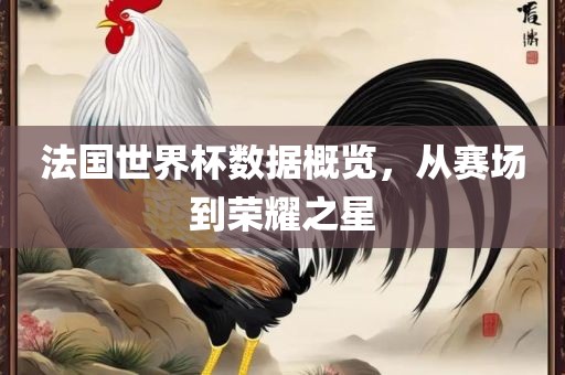 法国世界杯数据概览，从赛场到荣耀之星