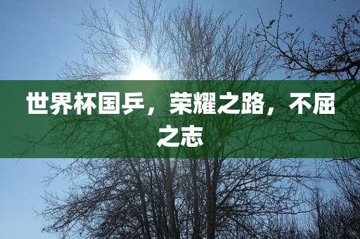 世界杯国乒，荣耀之路，不屈之志洪湖市顺升工程机械租赁有限公司