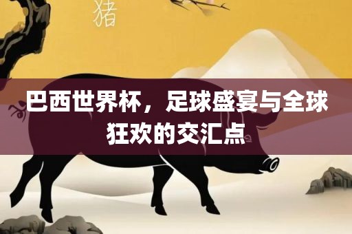 巴西世界杯，足球盛宴与全球狂欢的交汇点