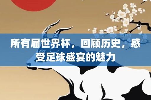 所有届世界杯，回顾历史，洪湖市顺升工程机械租赁有限公司感受足球盛宴的魅力