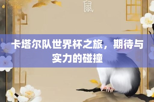 卡塔尔队世界杯之旅，期待与实力的碰撞洪湖市顺升工程机械租赁有限公司