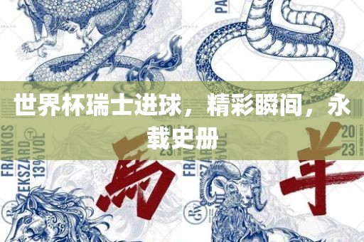 世界杯瑞士进球，精彩瞬间，永载史册洪湖市顺升工程机械租赁有限公司