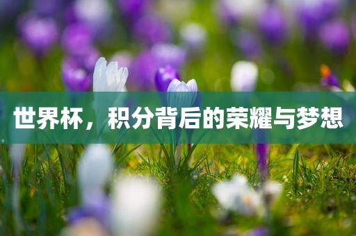 世界杯，积分洪湖市顺升工程机械租赁有限公司背后的荣耀与梦想